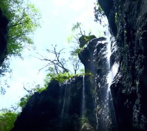 青山綠水，白龍江畔江畔息白鷺，兩岸綠橄欖入眼的都是純樸自然枝上花開(kāi)，春來(lái)水暖魚(yú)蝦戲水，鳥(niǎo)語(yǔ)花香心中充滿(mǎn)著舒暢之感祥宇生態(tài)產(chǎn)業(yè)園，位于隴南市武..